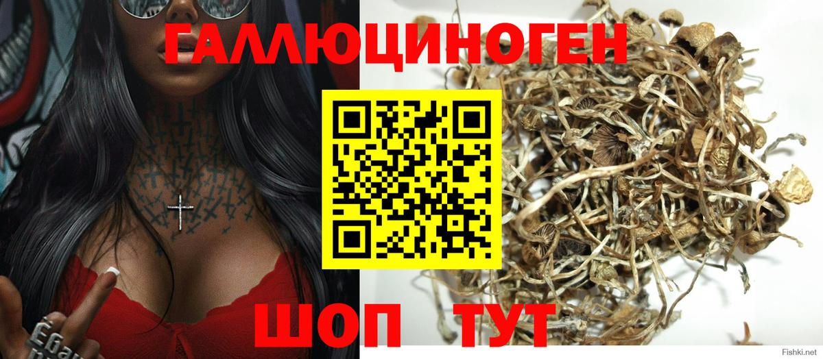 Галлюциногенные грибы мицелий  Вход с VPN  Галлюциногенные грибы мицелий  Пенза 