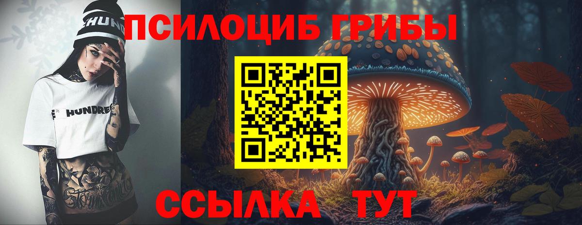 Псилоцибиновые грибы Magic Shrooms Пенза